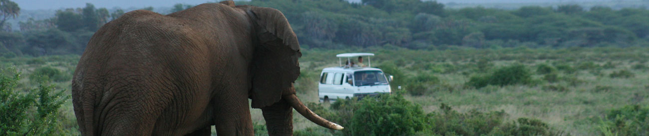 Comprehensive Kenya & Tanzania Expedition